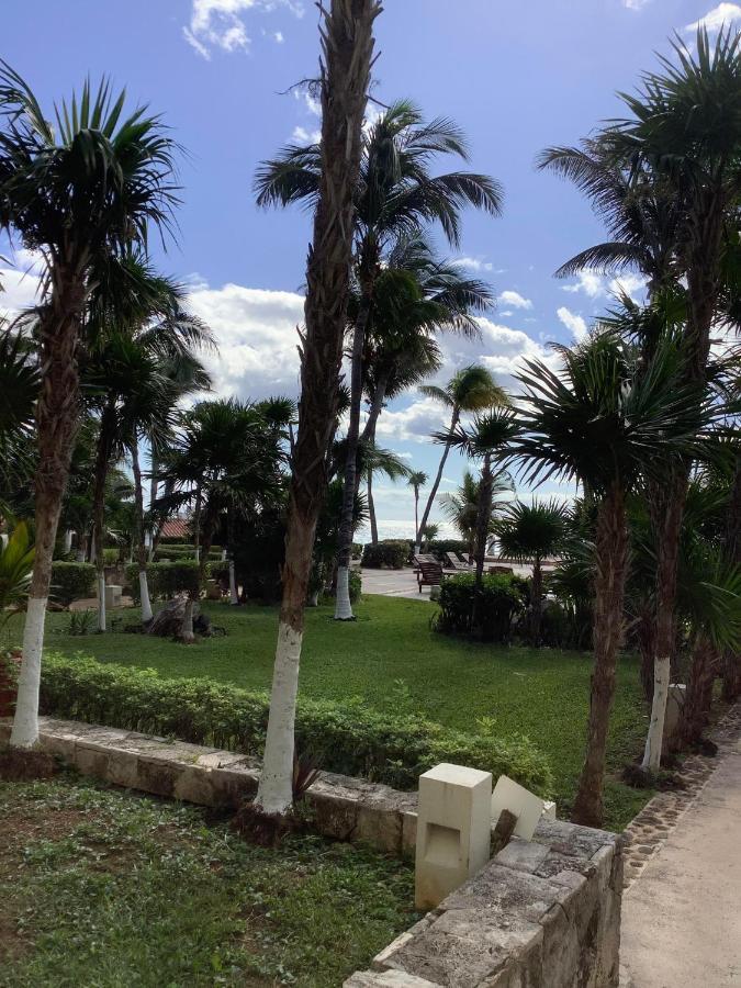 Beachaccess Hotelzone 3705 Cancún Eksteriør bilde